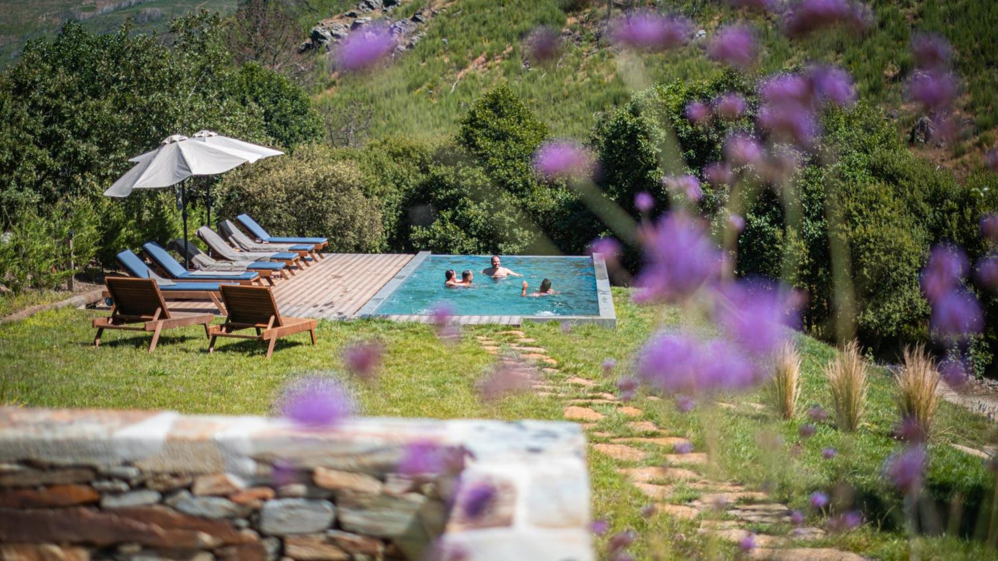 Terrasense Mountain Charm Retreat & Farm Apartment Videmonte Exterior foto